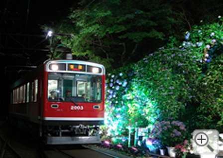 箱根観光で人気の名物乗り物の写真